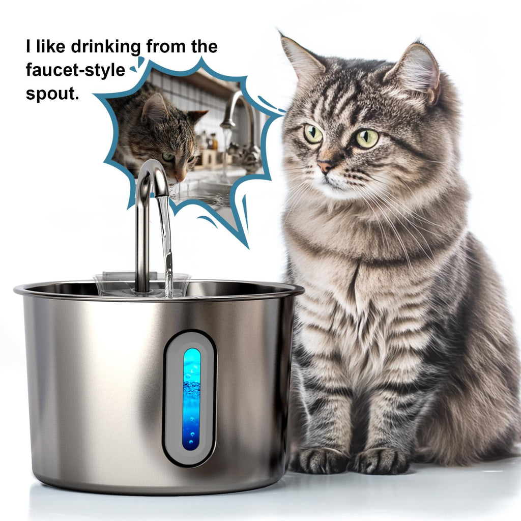 HAJXM Cat Water Fountain, 74oz/2.2L Cat Fountain for Drinking - Pet Water Fountain Stainless Steel for Cats Inside - Quiet Water Bowl Dispenser - Kitty Drinking Fountains - 4 Filters + 4 Sponges
