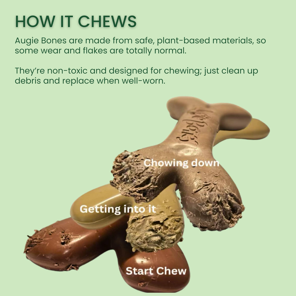 Augie Bones 2-Pack Non-Toxic Dog Toys - Sustainable Bacon Flavored Dog Chew Toys for Aggressive Chewers - Plant-Based Bioplastic Pet Toys - Made in The USA (Mighty)