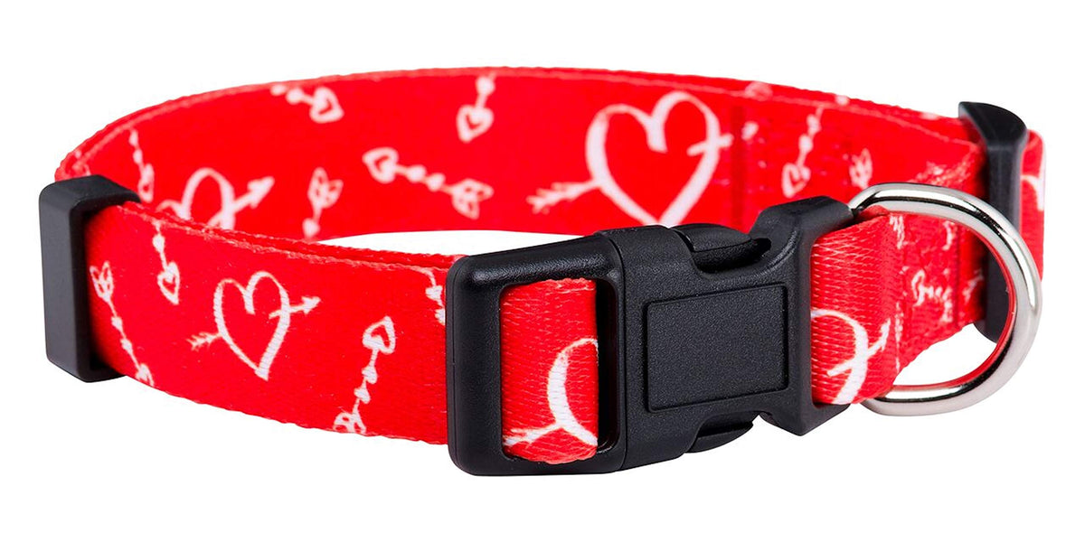 Native Pup Halloween Dog Collar (Small, Bats)