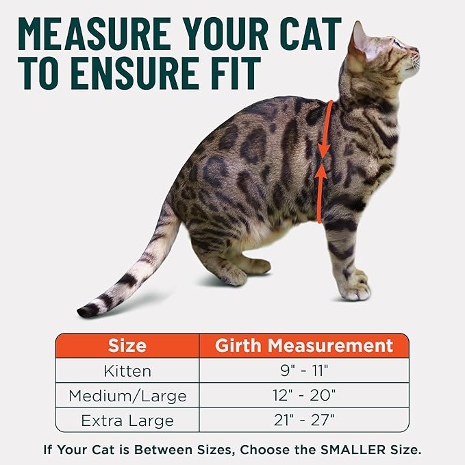 Houdini™ Escape Proof Cat Harness and Leash Set by OutdoorBengal – Black, Large Cat Harness for Walking Big Cats