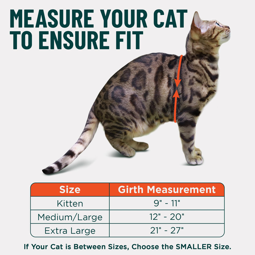 OutdoorBengal Houdini™ Escape Proof Kitten Harness and Leash (Red, S)