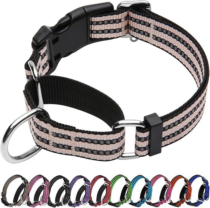 JOYEEIIOO Martingale Dog Collar, Adjustable Nylon Reflective Collar with Quick Release Buckle, No Pull Dog Training Collars for Small Medium Large Dogs (Pink Ivory, Medium)