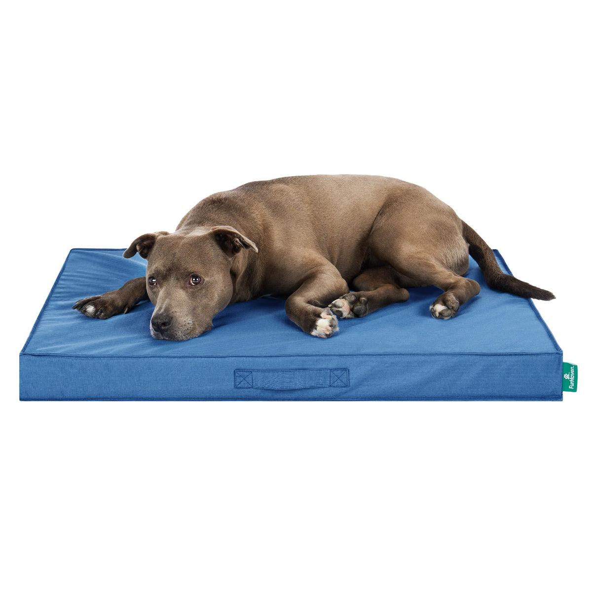 Furhaven Water-Resistant Cooling Gel Dog Bed for Large/Medium Dogs w/ Removable Washable Cover, For Dogs Up to 55 lbs - Indoor/Outdoor Logo Print Oxford Polycanvas Mattress - Forest, Large