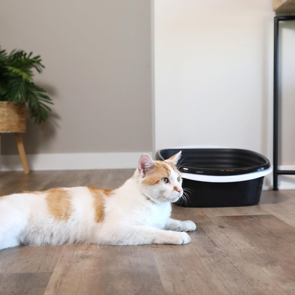Arm and Hammer Large Sifting Cat Litter Box with Microban
