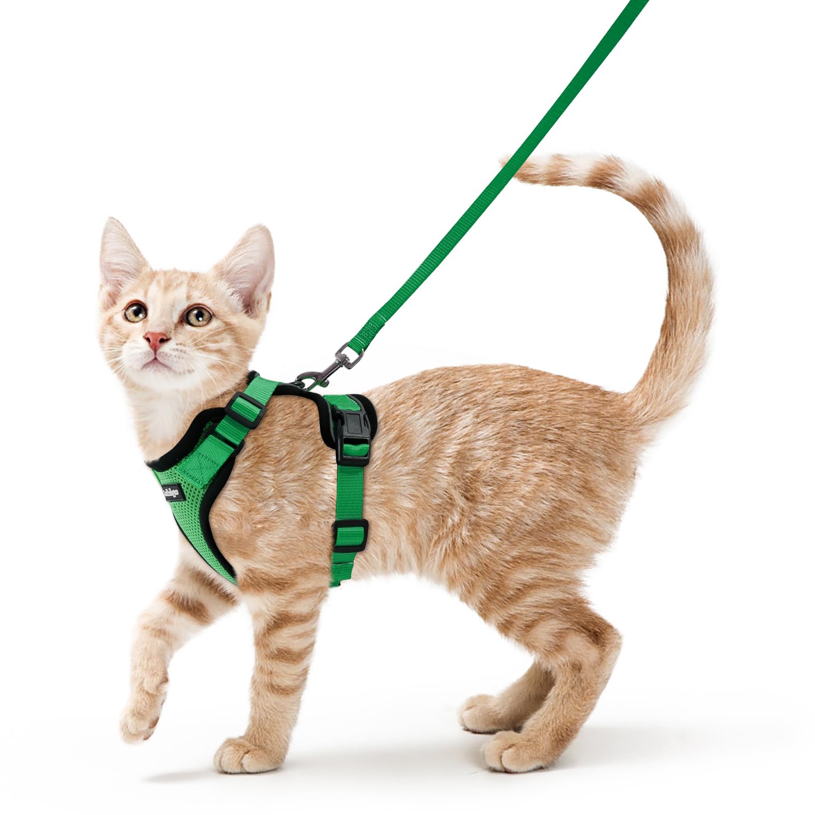 rabbitgoo Cat Harness and Leash Set, Escape Proof Vest, Emerald