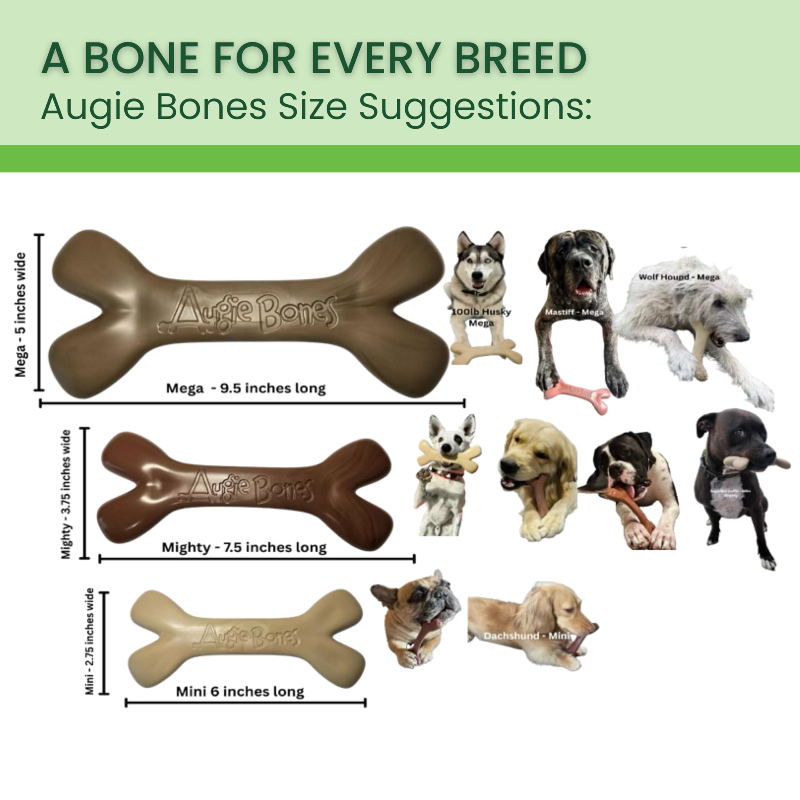 Augie Bones Non-Toxic Dog Toys - Sustainable Beef Flavored Dog Chew Toys for Aggressive Chewers - Plant-Based Bioplastic Pet Toys - Made in The USA (Mega)