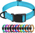 TagME Small Dog Collar, Adjustable Reflective Nylon Pet Collar with Quick Release Buckle, Sky Blue, 5/8" Width
