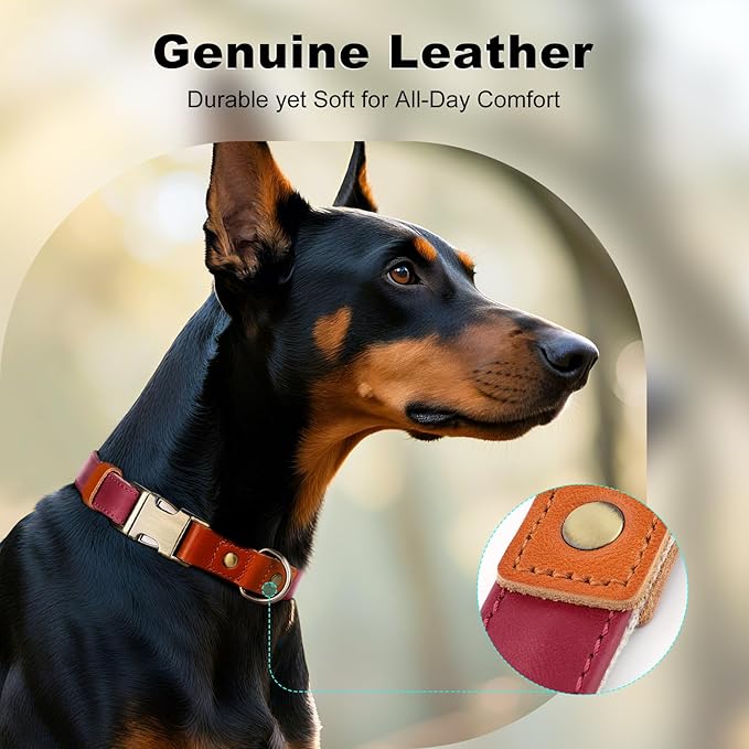 Plutus Pet Genuine Leather & Hemp Dog Collar – Adjustable Heavy Duty Pet Collar with Quick Release Metal Buckle, Soft & Stylish for Puppy and Small, Medium, Large Dogs (Burgundy, L)