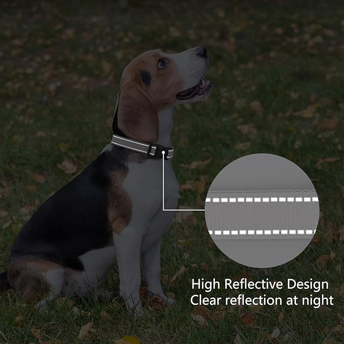 PenSeepet Reflective Dog Collar Padded with Soft Neoprene Breathable Quick Release Basic Dog Collars for Medium Large Dogs Boy Girl Silver