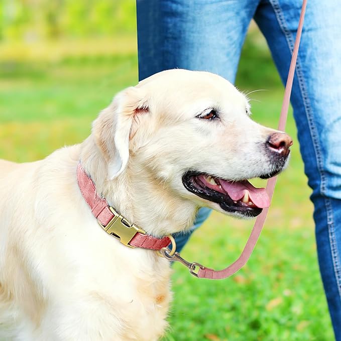 Genuine Leather Dog Collar - Adjustable Pet Collar with Quick Release Metal Buckle, Soft Skin Friendly Real Leather Collar for Small, Medium, Large Dogs (Pink, M：Fit 12-20" Neck)