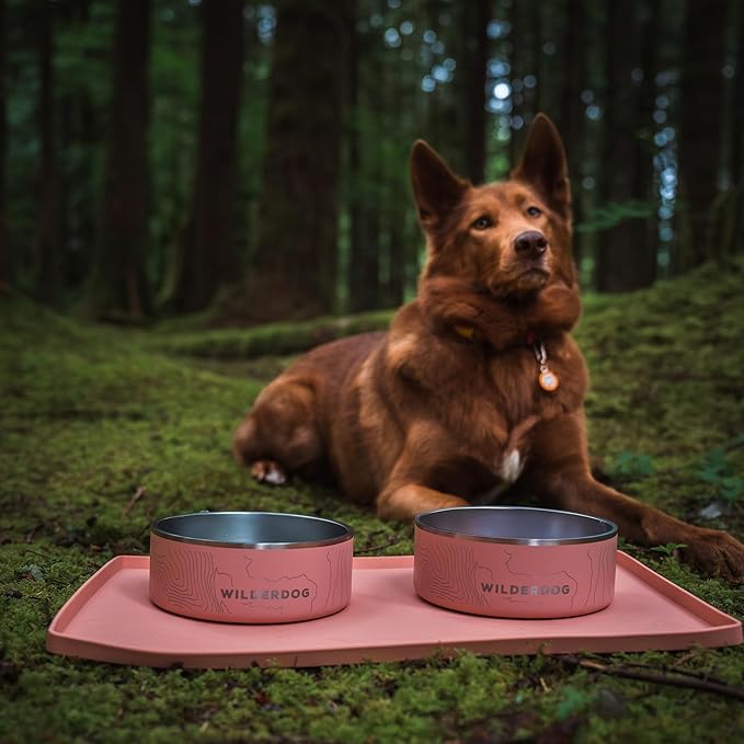 Wilderdog Silicone Pet Placemat Made with 100% Food-Grade Silicone Cone, BPA, PVC, and Phthalate-Free. Non-tocix, Dishwasher Safe Feeding mat for Bowls with Spill Catcher and Raised Mountain Logo