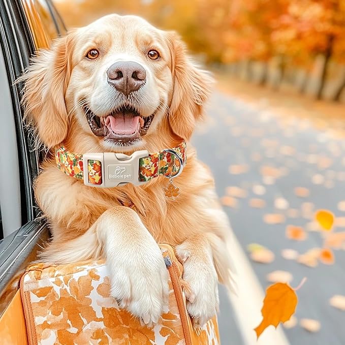 Babole Pet Fall Dog Collar Cute Autumn Leaves Puppy Collar - Light Comfortable Adjustable Pet Collars for Small Medium Large Girl Boy Dogs XS
