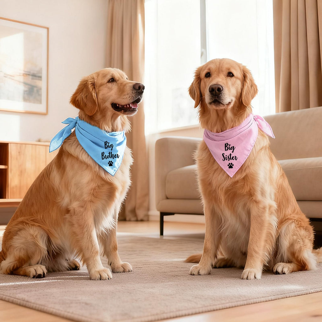 Big Sister and Big Brother Pet Dog Bandana, Triangle Scarf for Small Medium Large Dogs, Baby Announcement Gender Reveal Photo Prop Pet Scarf for Dog Lover, 2 Packs