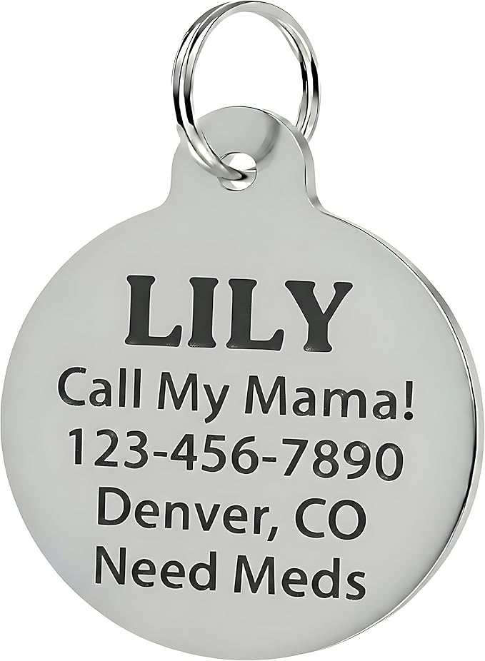Bad Tags Personalized Dog and Cat ID Tags in 25+ Designs and 2 Sizes - 5 Lines of Custom Engraved Text - Funny Cute Personalized Pet Tags (Silently Judging - Red, Large (1.25 inch))