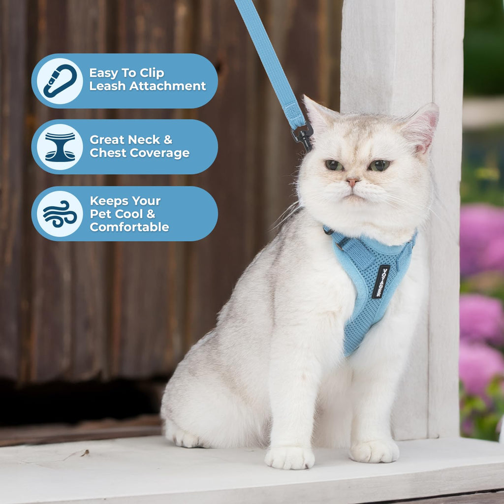 Voyager Escape-Proof Step-in Lock Cat Harness & 5ft Neoprene-Handle Leash Set All-Weather Mesh with Reflective Stitching for Small to Large Cats by Best Pet Supplies, Baby Blue, XS