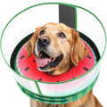 Didopet Inflatable Dog Cone with Anti-Licking Clear Shield, Fits Small Dogs