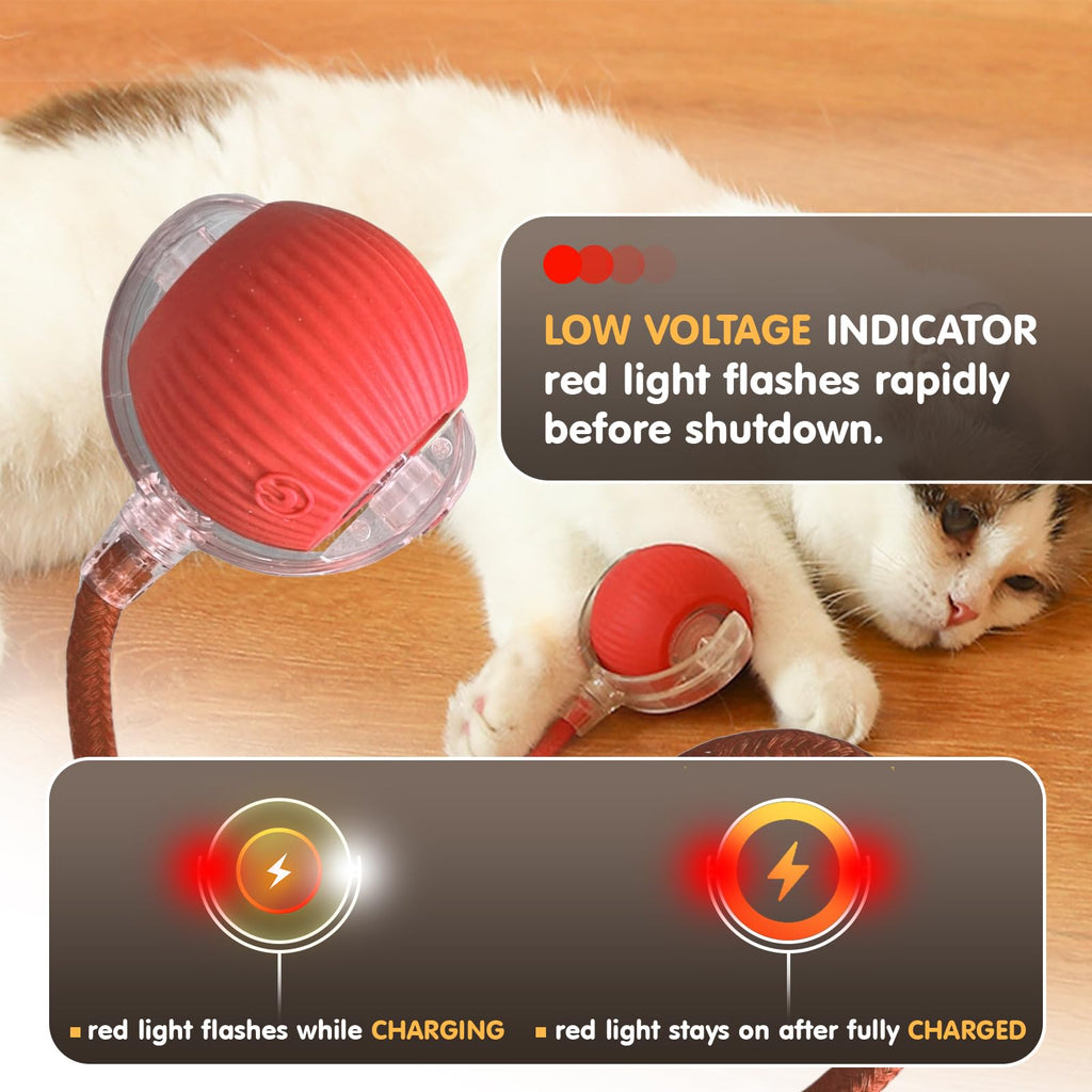 Rocfish Durable Interactive Cat Toys for Indoor Cats (red, 01)