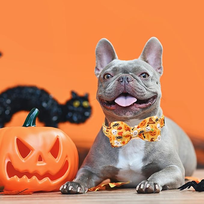 Bobo Rainbow Halloween Dog Collar, Pet Collar Bow Fall Puppy Collar Girl Boy Holiday Pet Collars Gift Bow Cute Soft Puppy Collar for Medium Dogs