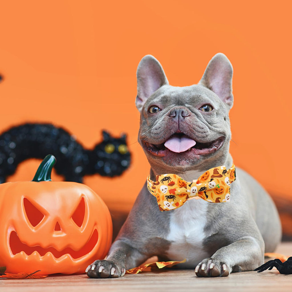 Bobo Rainbow Halloween Dog Collar, Pet Collar Bow Fall Pet Collar Girl Boy Holiday Collar Gift Bow Cute Soft Puppy Collars for X-Small Puppy