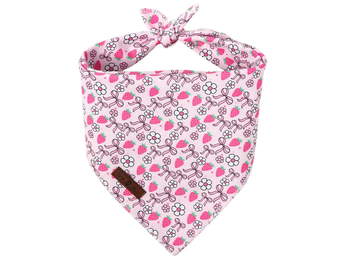 Lionet Paws Christmas Dog Bandana Washable Cotton Handkerchief Scarf Triangle Christmas Red Plaid Dog Bandanas for Medium Large Dogs Girl Boy