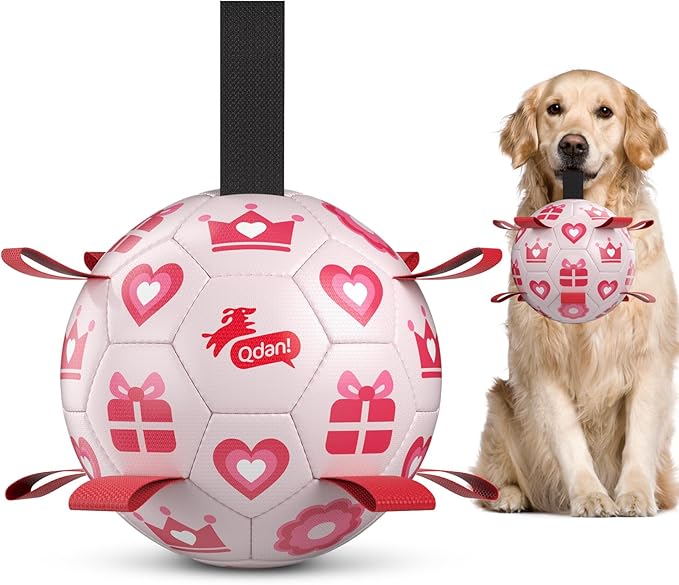 QDAN Small Dog Toys, Outdoor Indoor Toys to Keep Them Busy, Dog Soccer Ball