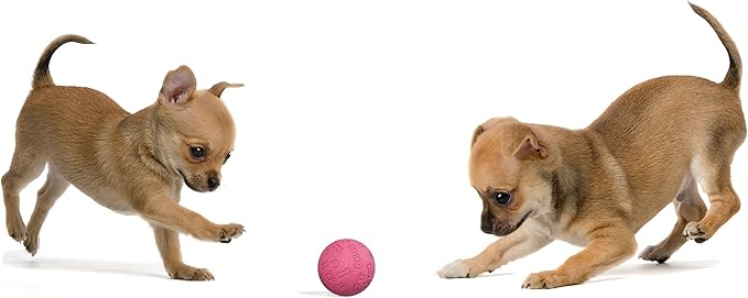 Snug Rubber Dog Balls for Small and Medium Dogs - Tennis Ball Size - Virtually Indestructible (3 Pack - Pink)