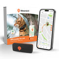 Weenect Cat XS - Mini GPS Cat Collar | Subscription Required