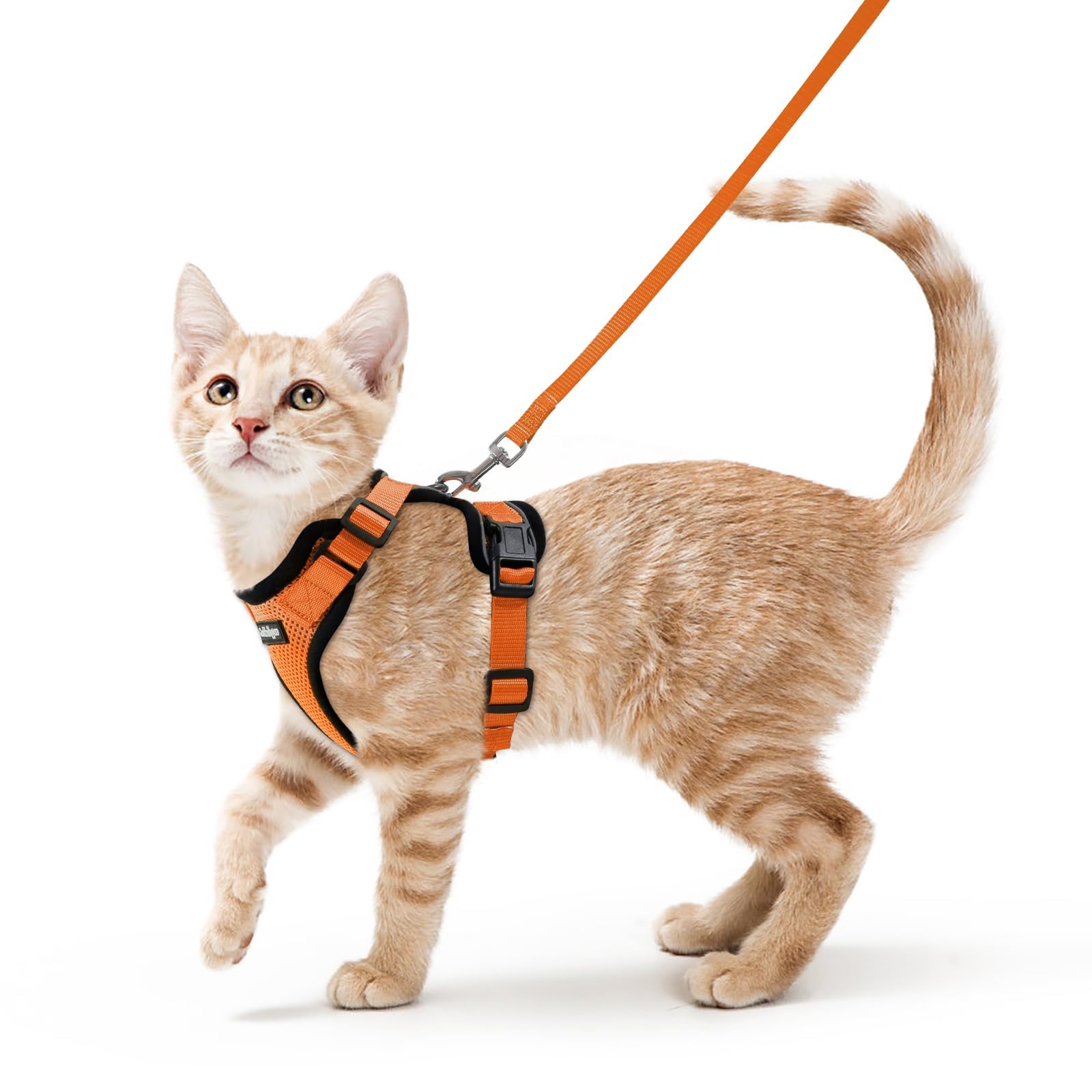 rabbitgoo Cat Harness and Leash Set, Escape Proof Vest, Emerald