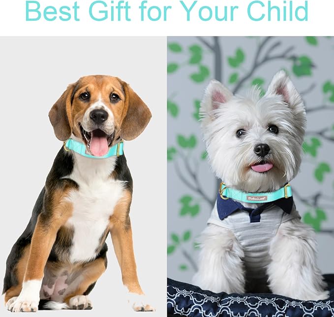 Babole Pet Nylon Dog Collar - Adjustable Lake Blue Soft Webbing Dog Collars for Small Medium Large Dogs Boy Girl Puppy Collar with Safety Metal Buckle M