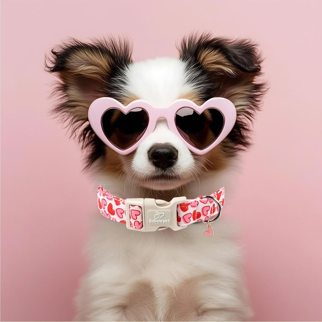 Babole Pet Valentines Dog Collar for Small Dogs - Pink Valentine Hearts Dog Collars, Girly Love Female Dogs Collars, Lightweight Adjustable Cute Puppy Collar with Quick-Release Buckle S