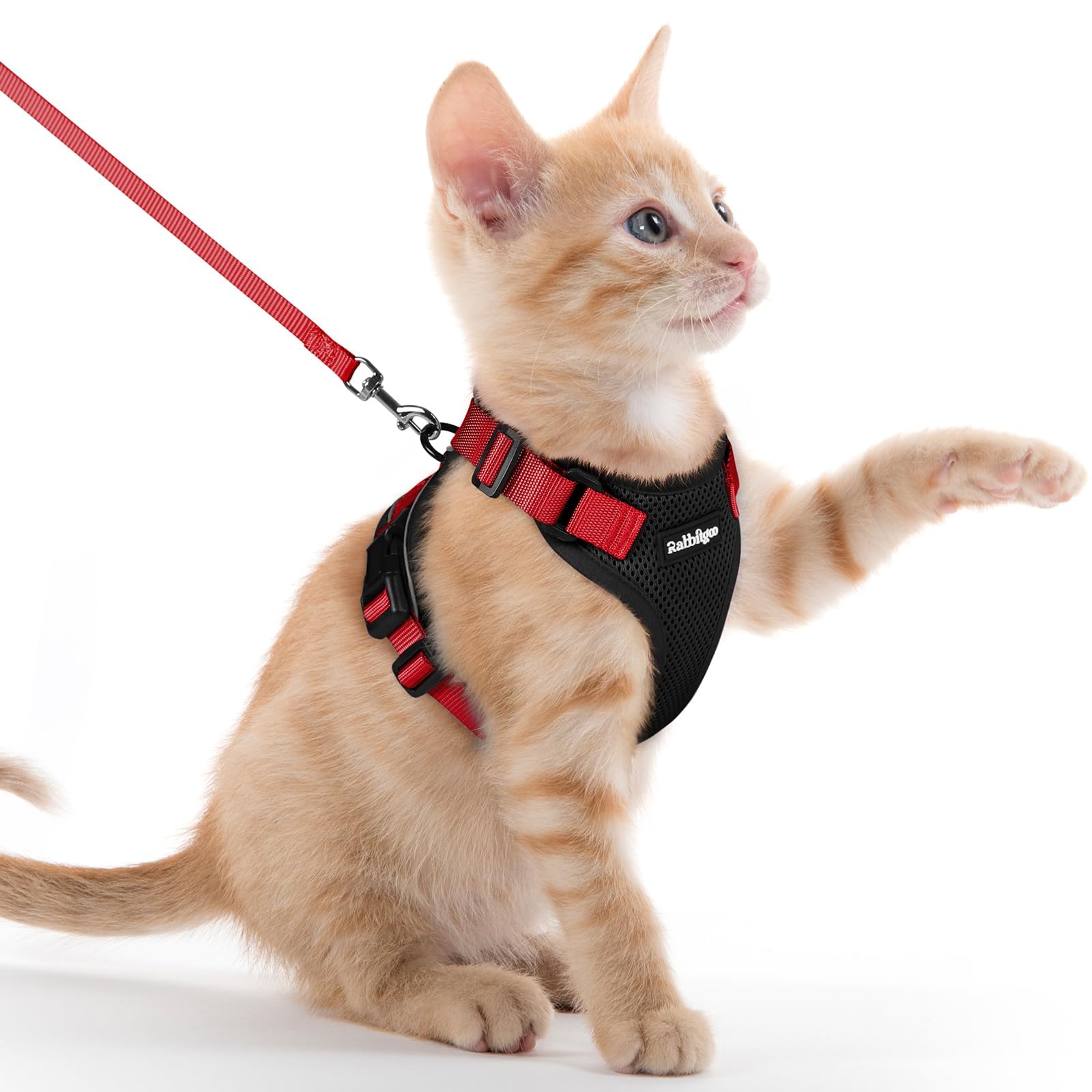 rabbitgoo Cat Harness and Leash Set, Escape Proof Vest, Emerald