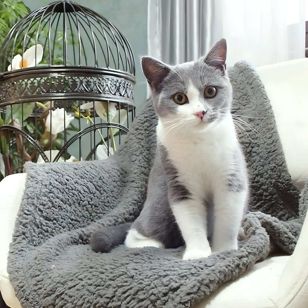 furrybaby Pet Blanket, Soft Warm Sherpa Fleece Bed Blanket for Small Pets
