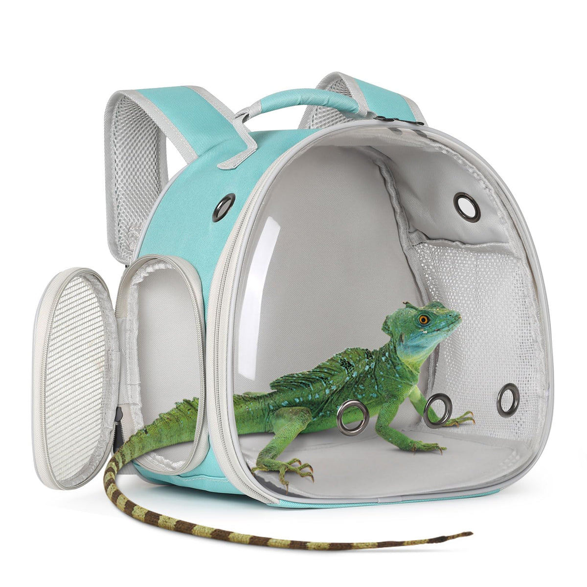Guinea Pig Carrier,Guinea Pig Carrier for 2,Ventilation Carrier for Bearded Dragon,Reptile Travel Carrier for Lizards Sugar Glider Hedgehog Rat Parrot Birds,Airline Approved Green