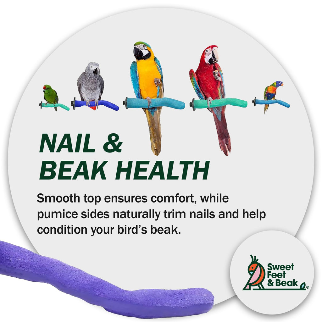 Sweet Feet and Beak Safety Pumice Bird Perch, X-Small Pedicure Perch, Purple
