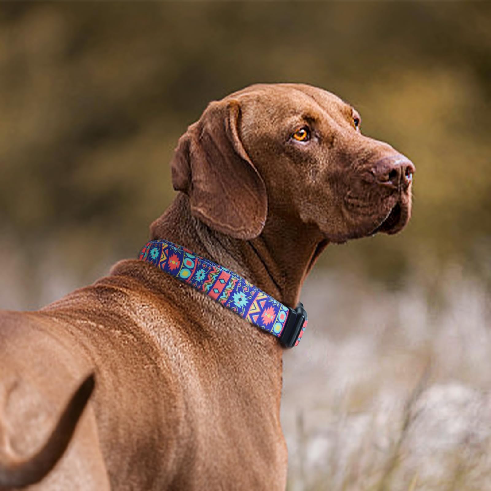 QQPETS Adjustable Soft Dog Collar: Print Flower Pink Multicolor Cute Patterns for XS Small Medium Large Pet Girl Boy Puppy Walking Running Training