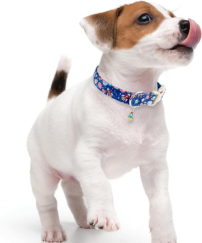 Faygarsle Space Theme Dog Collar, Navy Blue with Rockets and Planets Pattern for Summer Small Medium Large Dogs, XS