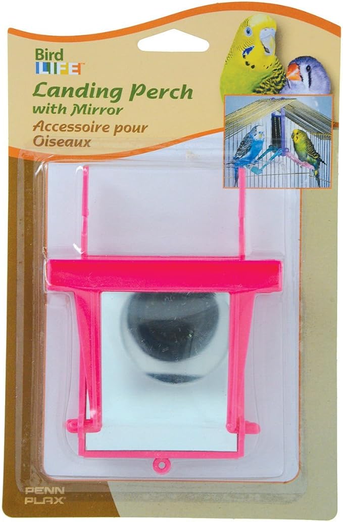 Penn-Plax Bird Life - Mirror with Beads Toy | Easy to Attach to Any Bird Cage | Keep Your Birds Entertained and Stimulated (BA507)
