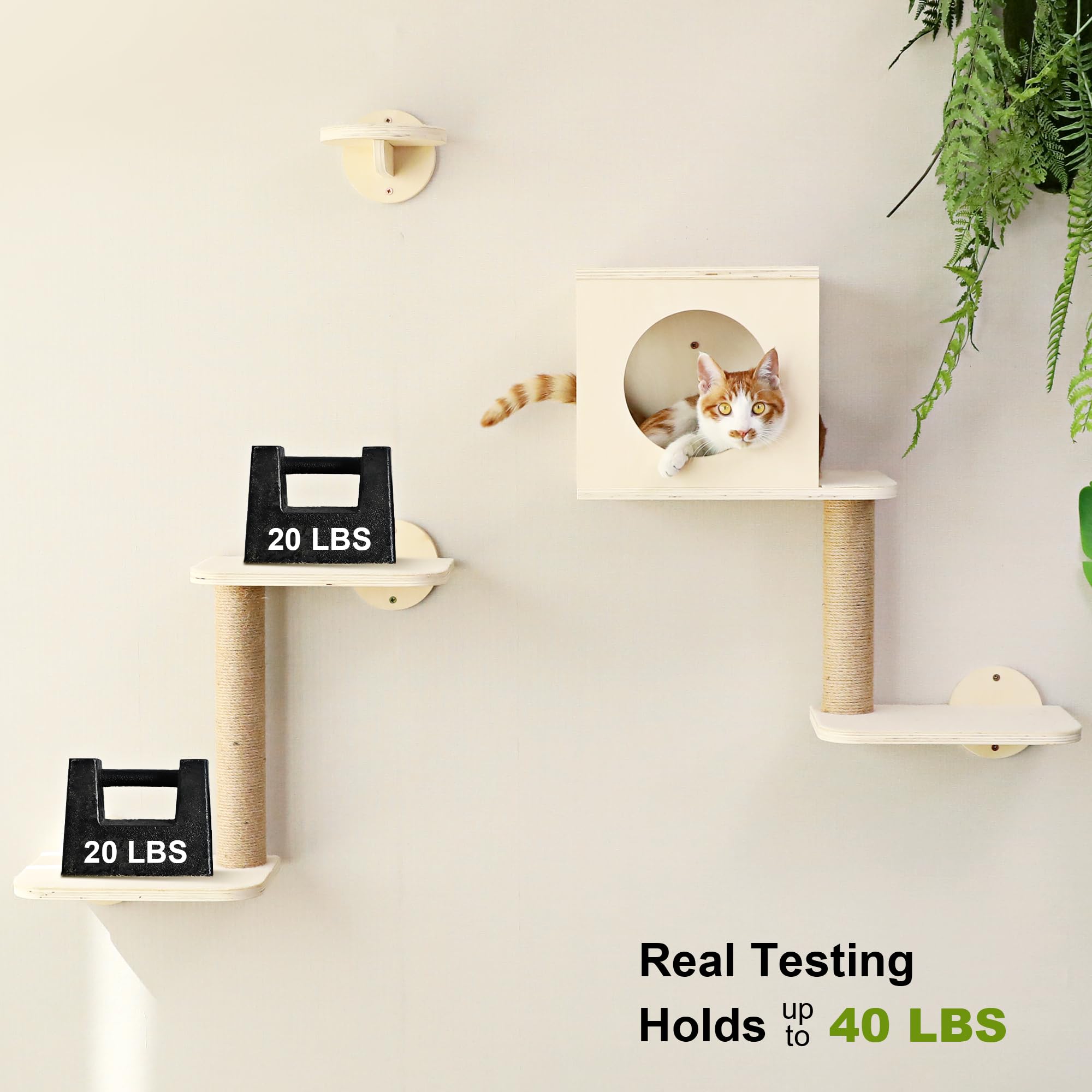 FUKUMARU Cat Wall Shelves, 5 in 1 Set, Beige