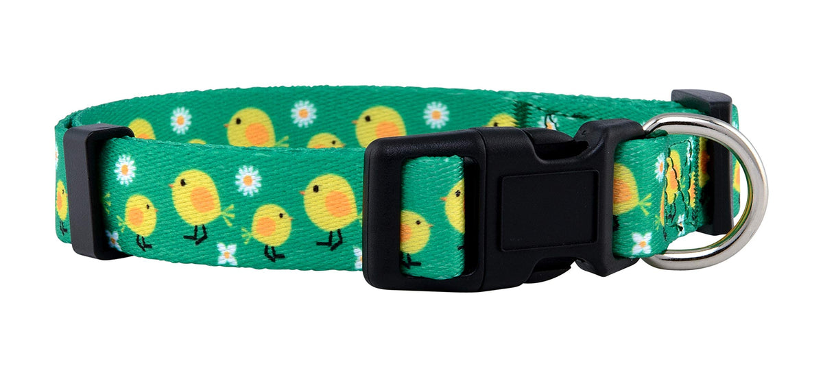 Native Pup Halloween Dog Collar (Large, Bats)