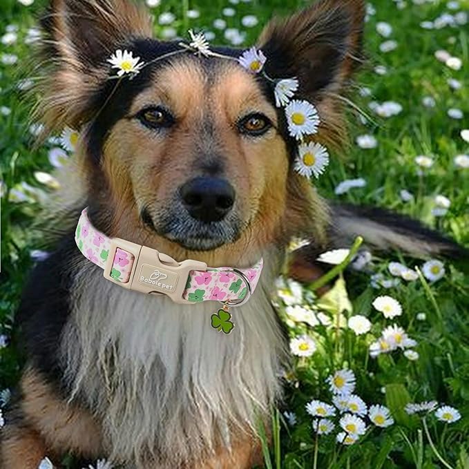Babole Pet St Patricks Day Dog Collar for Large Dogs - Cute Light Pink Shamrock Girl Dog Collars, Adjustable Irish Clover Puppy Collar with Quick Release Buckle L