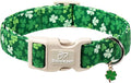 St. Patrick's Day Dog Collar for Medium Dogs - Bold Green Lucky Clover Dog Collars, Cute Irish Party Shamrock Puppy Collar, Lightweight Adjustable St. Patricks Day Pet Collars M