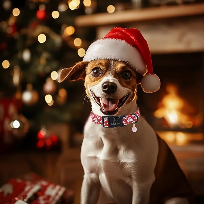 Babole Pet Christmas Dog Collar - Cute Red Santa Christmas Puppy Collar with Safety Buckle, Soft Adjustable Holiday Dog Collars for Small Medium Large Dogs XS