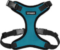 Voyager Step-in Pet Harness - All Weather Mesh, Adjustable Step in Harness for Cats and Dogs by Best Pet Supplies - Turquoise/Black Trim, L