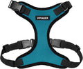Voyager Step-in Pet Harness - All Weather Mesh, Adjustable Step in Harness for Cats and Dogs by Best Pet Supplies - Turquoise/Black Trim, XL