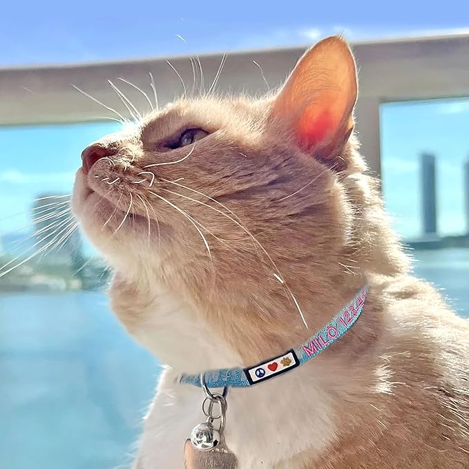 Pawtitas Personalized Green Reflective Cat Collar – Adjustable Custom Collar with Safety Buckle, Removable Bell, and Engraved Name & Phone Number for Kittens and Adult Cats