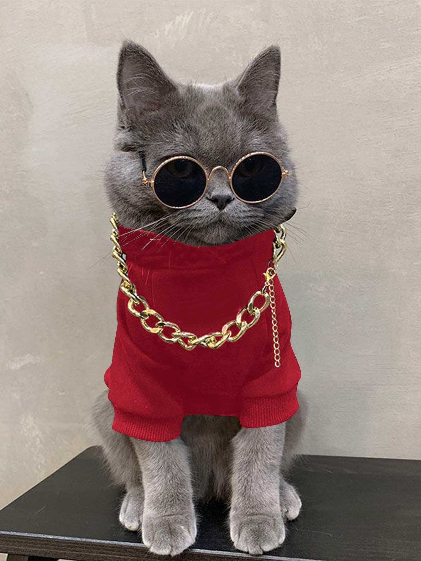 QWINEE 3Pcs Dog Hoodie Cat Apparel Dog Custume Set with Necklace and Sunglasses Pet Clothes for Puppy Small Medium Dogs Cats Red L