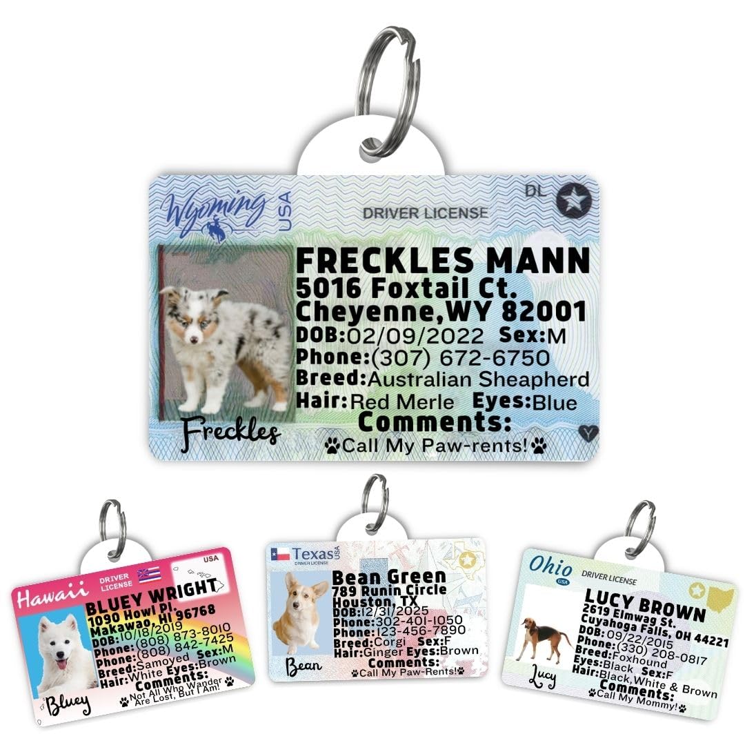 Dog Tags Personalized, Dog ID License Tag for Pets (Washington, Tag)