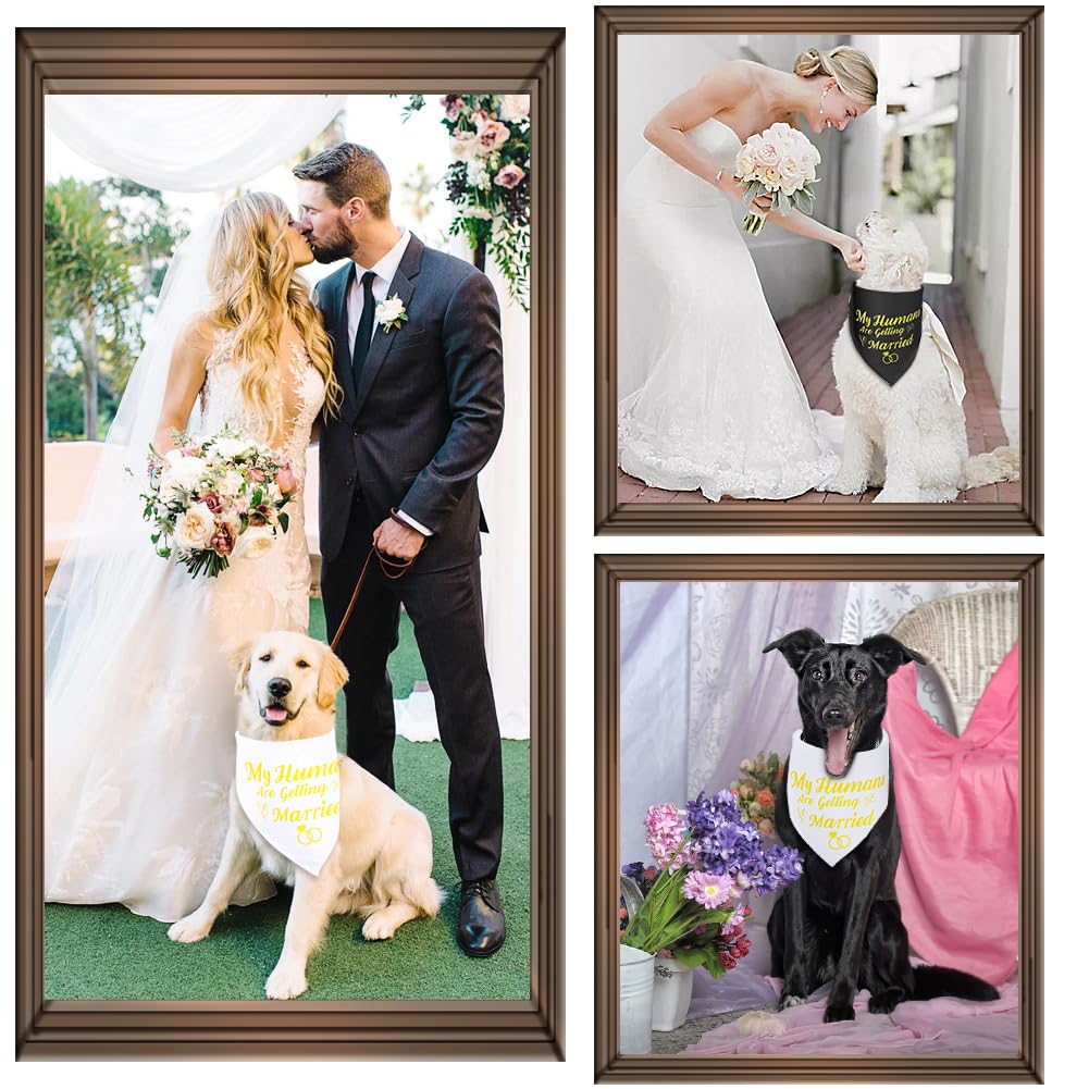 SZEE Wedding Decorations for Pets, 2 Pack My Humans are Getting Married Dog Bandanas, Engagement Party Decorations, Wedding or Engagement Gift for Couples, Dog Wedding Bandanas (Gold, S)