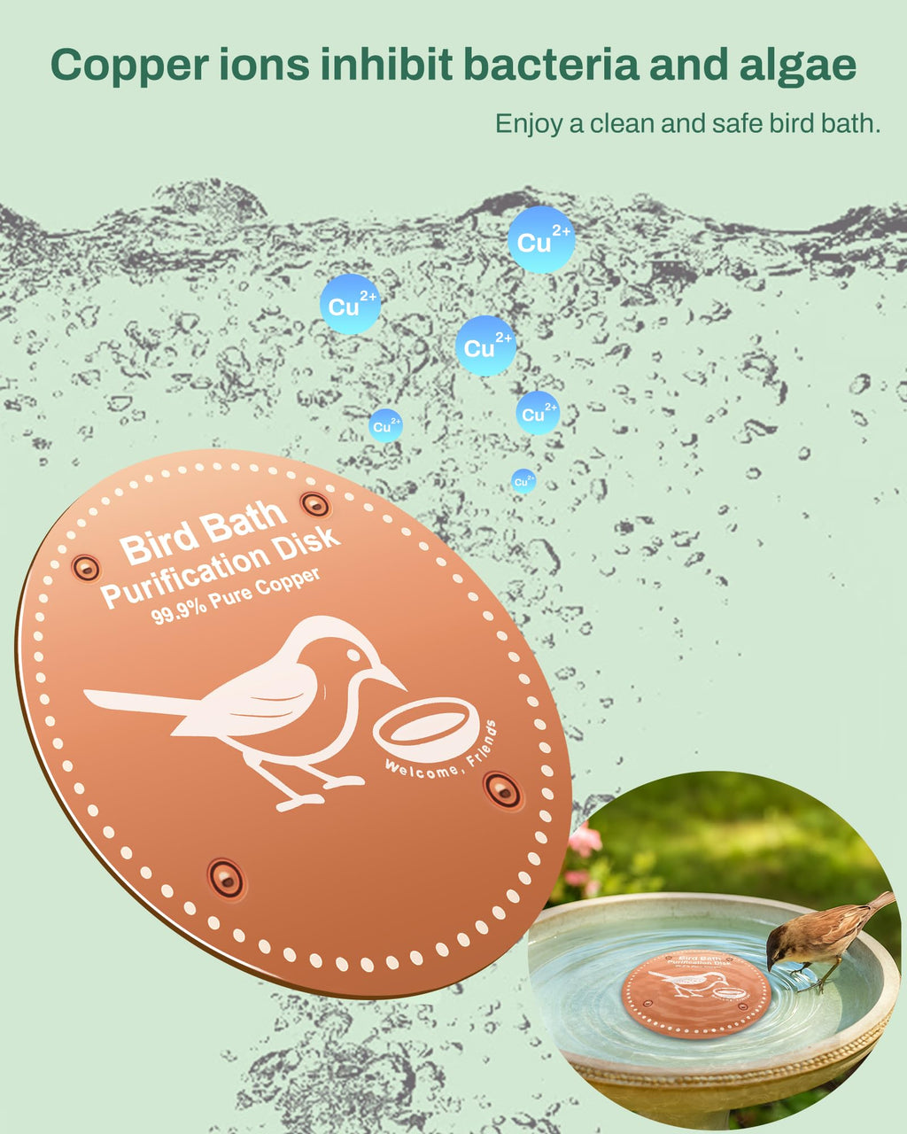 OICEME Bird Bath Purification Disk Pure Copper Outside Winter Solar Power Birdbath Wild Hummingbird Pedestal Fountain Cleaner Outside Humming Feeder Cage Dispenser Heater Outdoor Concrete Winter 3PCS