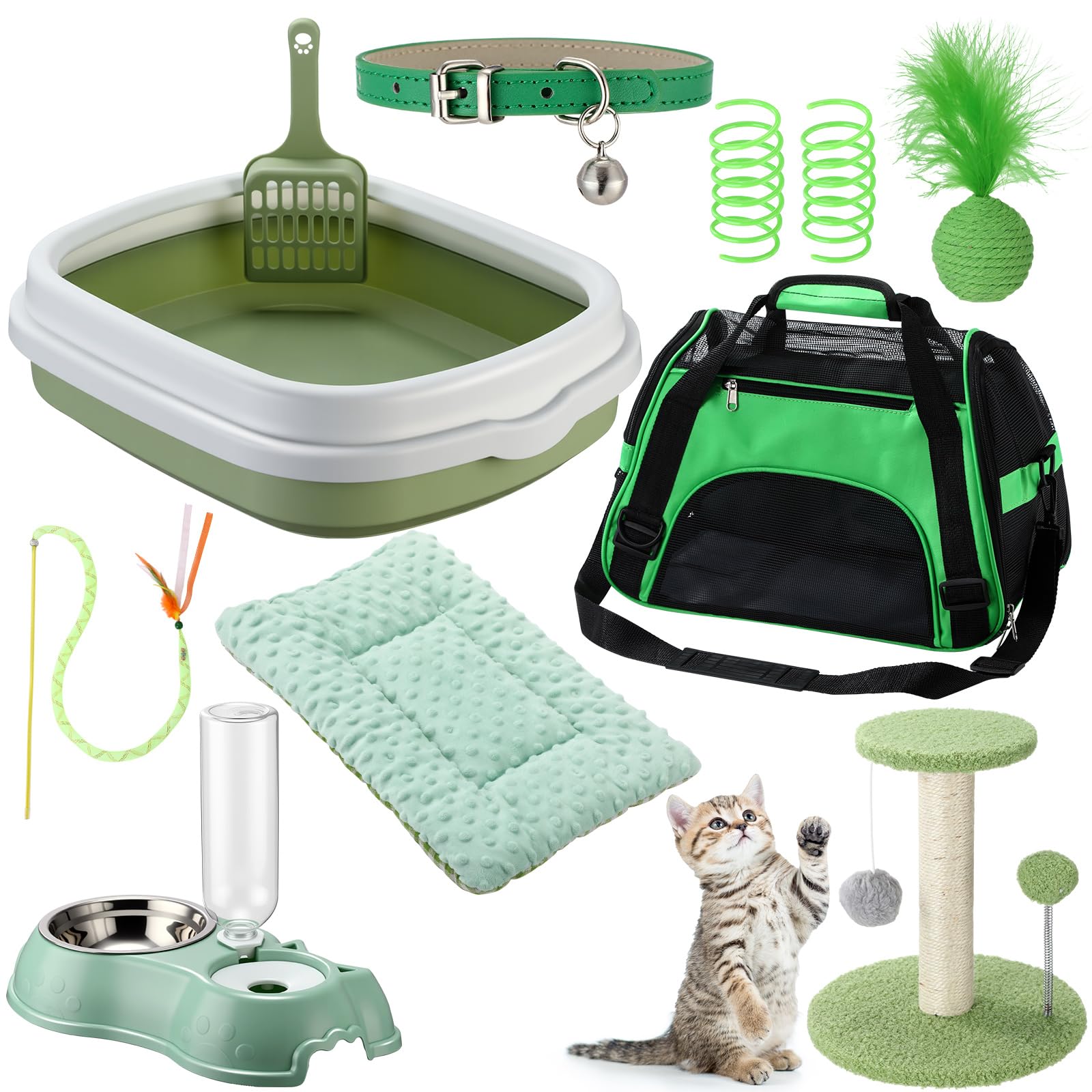Eccliy Kitten Starter Kit, 10 Pcs Cat Starter Kit for Indoor Cats Kitten Essentials Includes Litter Box, Pet Toy, Folding Carrier, Climbing Frame, Mat, Collar, Automatic Food Bow(Classic,Green)